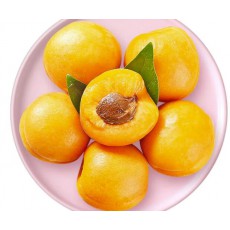 山东 金太阳 大黄杏 5斤装 新鲜水果 产地直发